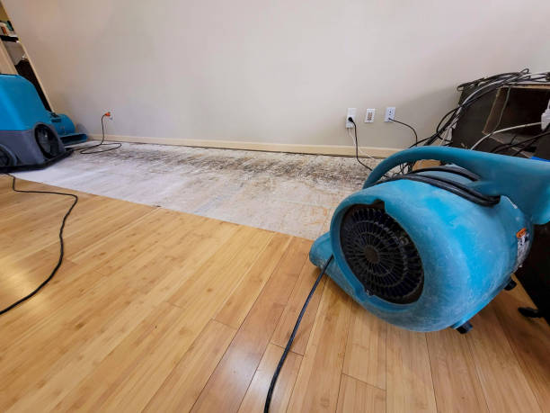 Professional Water Damage Repair technician working in McKenzie, TN